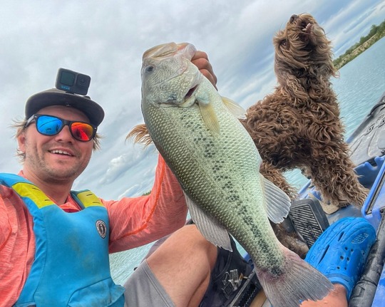Largemouth Bass