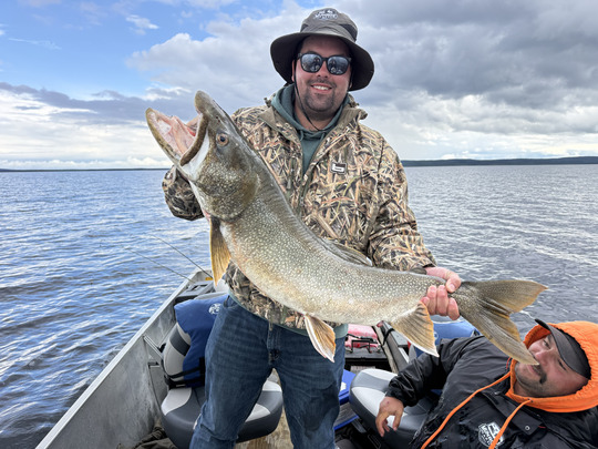 Lake Trout