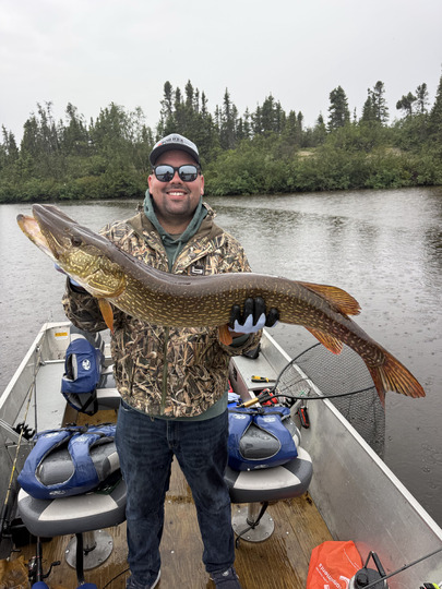 Northern Pike