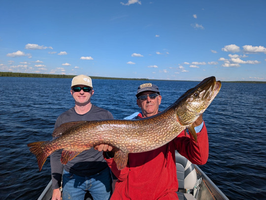 Northern Pike