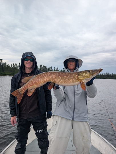 Northern Pike