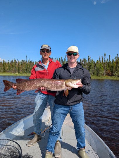 Northern Pike