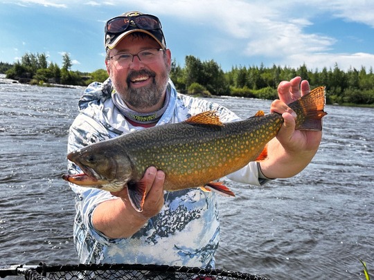 Brook Trout