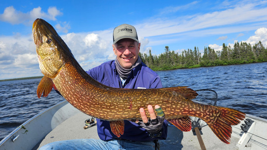 Northern Pike