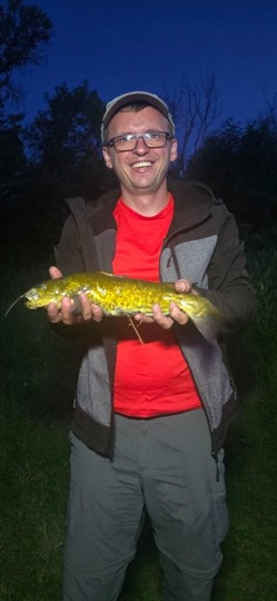 Bullhead