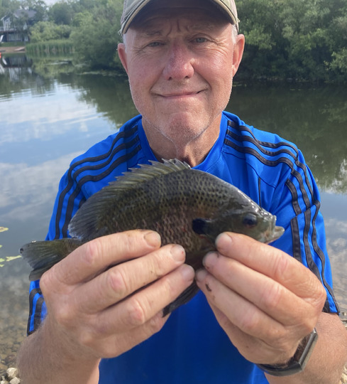 Sunfish