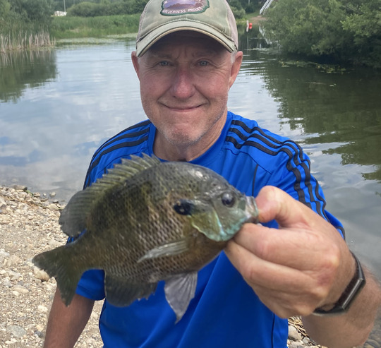 Sunfish