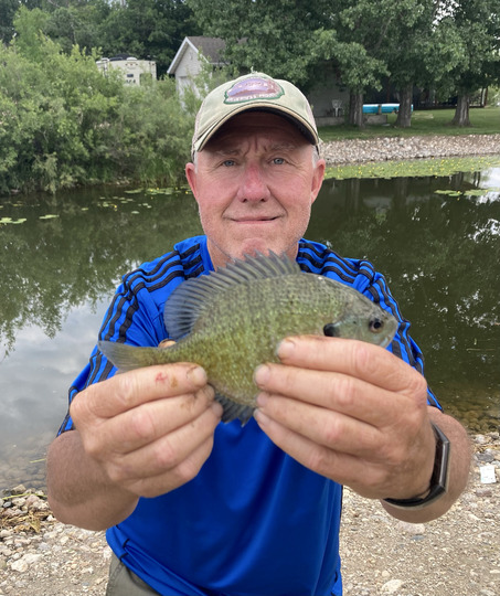 Sunfish