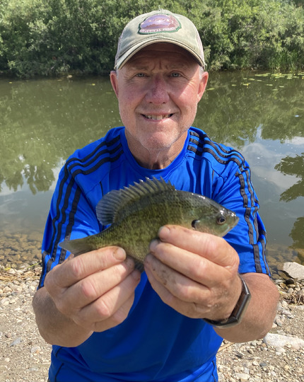 Sunfish