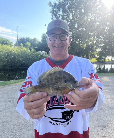 Sunfish