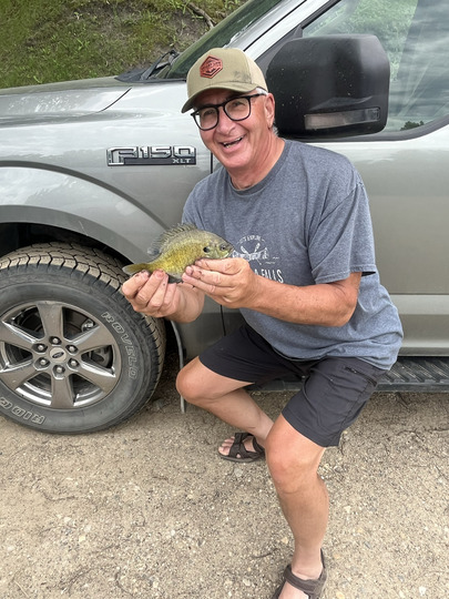 Sunfish