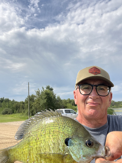 Sunfish