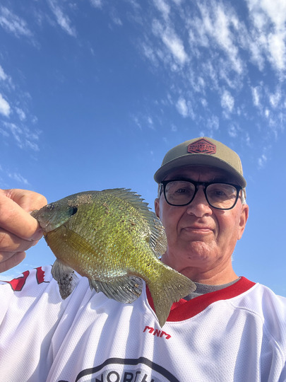 Sunfish