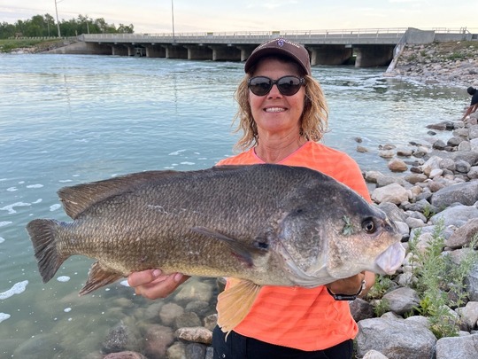 Freshwater Drum