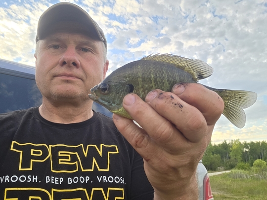 Sunfish