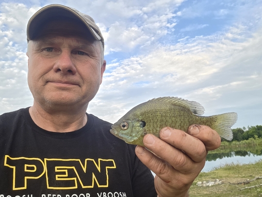 Sunfish