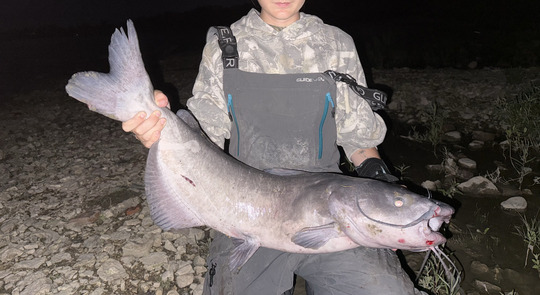 Channel Catfish