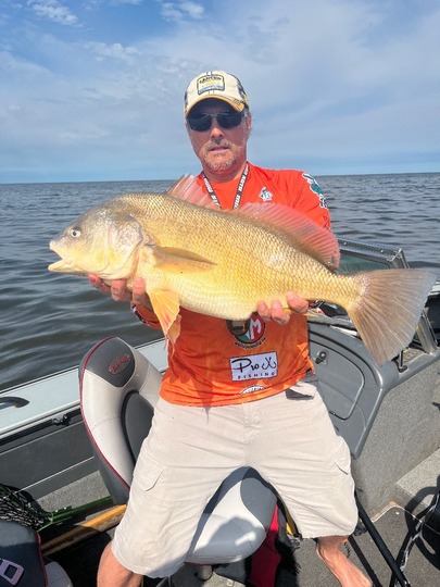 Freshwater Drum