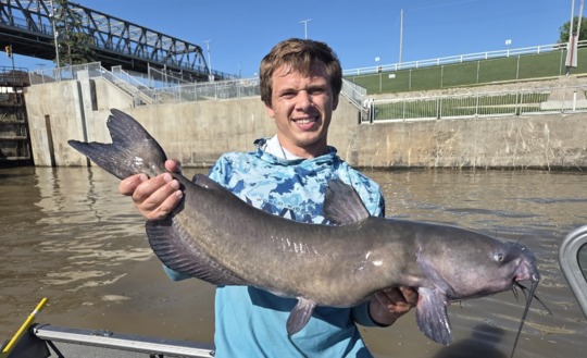 Channel Catfish