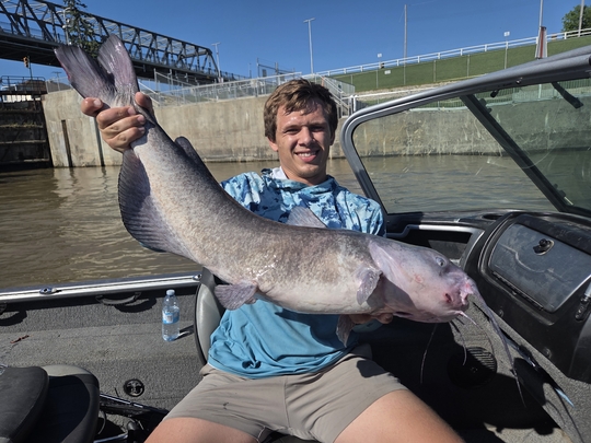 Channel Catfish