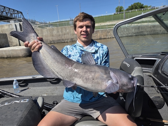 Channel Catfish