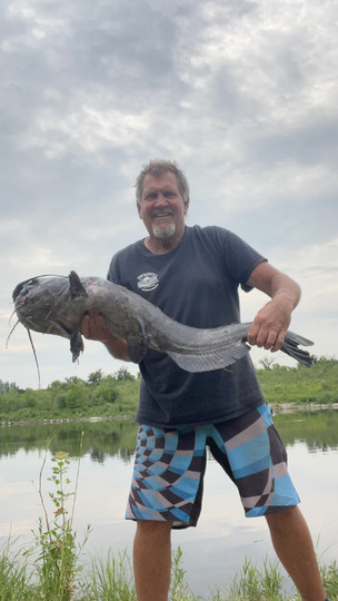 Channel Catfish