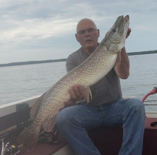Northern Pike
