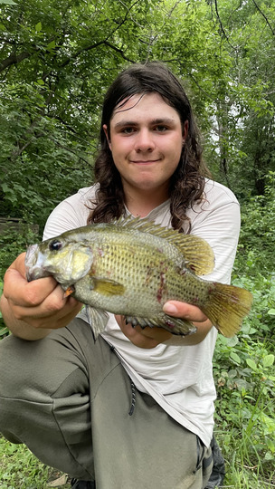 Rock Bass