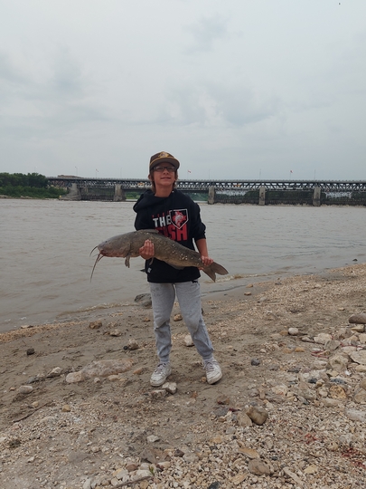 Channel Catfish