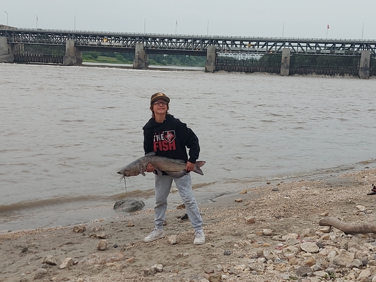 Channel Catfish