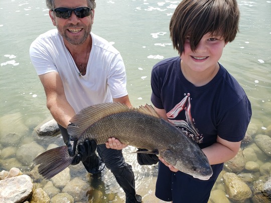 Freshwater Drum