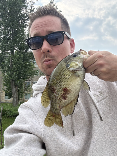 Rock Bass