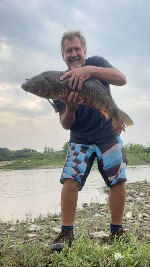 Common Carp