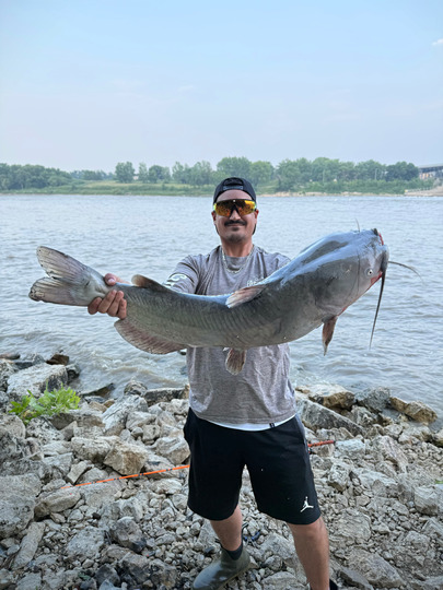 Channel Catfish