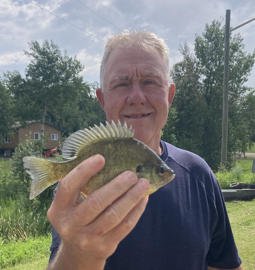 Sunfish