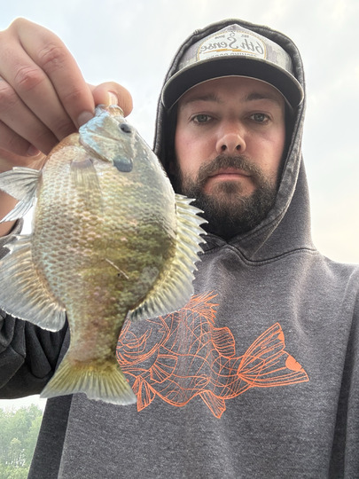 Sunfish