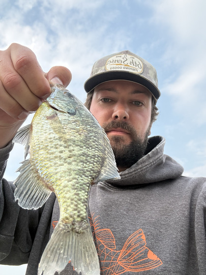 Sunfish