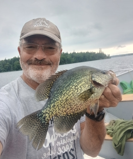 Black Crappie