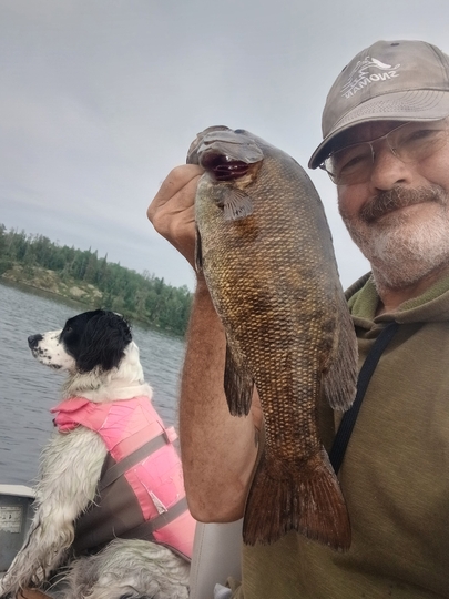 Smallmouth Bass