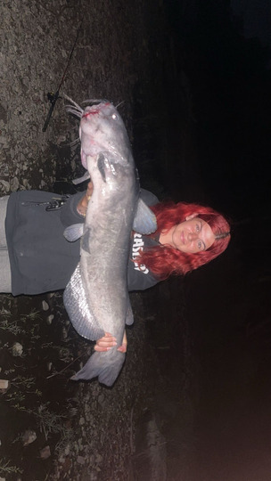 Channel Catfish
