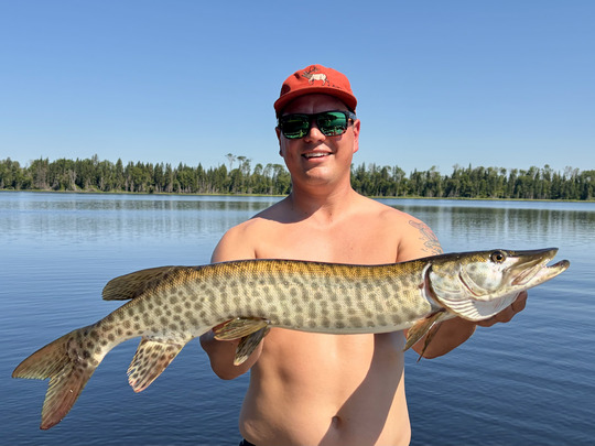 Muskellunge