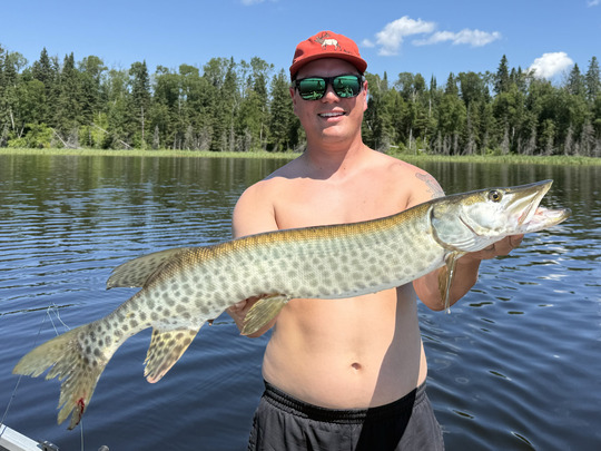 Muskellunge