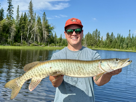 Muskellunge