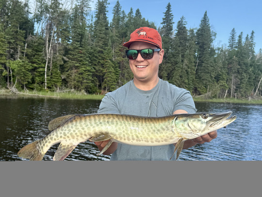 Muskellunge