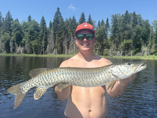 Muskellunge