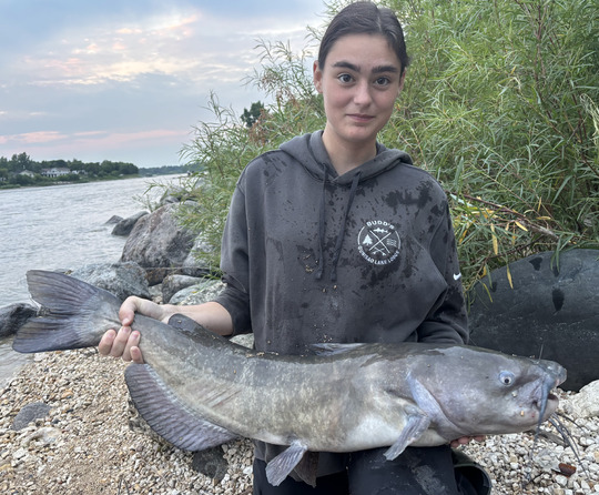 Channel Catfish