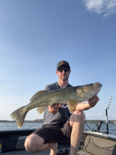 Walleye