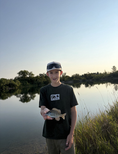 Sunfish