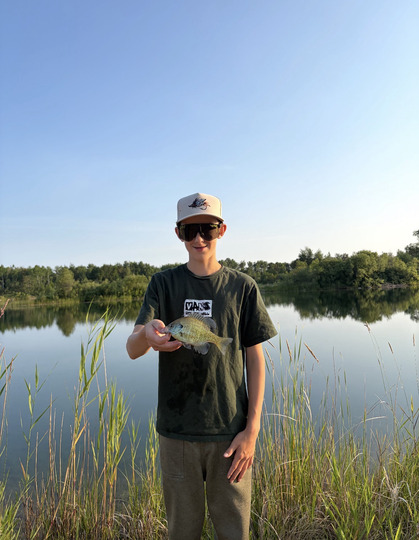 Sunfish