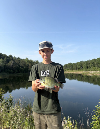 Sunfish